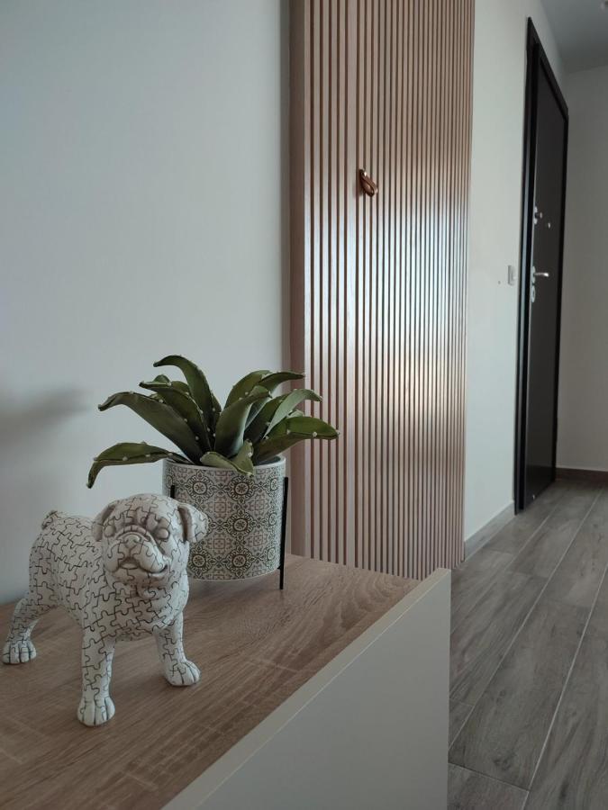 Vagiana Apartment Διαμέρισμα Κοντά Στο Αεροδρόμιο Antimachia Buitenkant foto